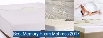 10 Top Rated Memory Foam Beds You Can Buy in 2020 -Updated