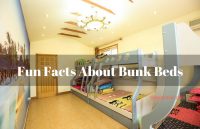 5 Facts That You Should Know About Bunk Beds